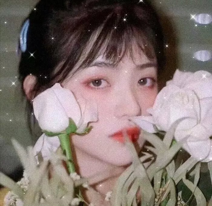 女汉子真爱公式
